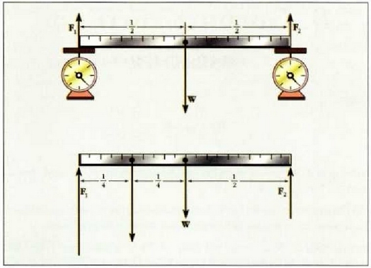 14.5: (a) la adibidea. Altzairuzko barra uniforme bat malgukizko balantza banatan dago bermatua. (b) I b adibidea. w pisua barra horren mutur batetik dagoen distantziaren laurdenetik zintzilikatzen da.